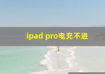 ipad pro电充不进